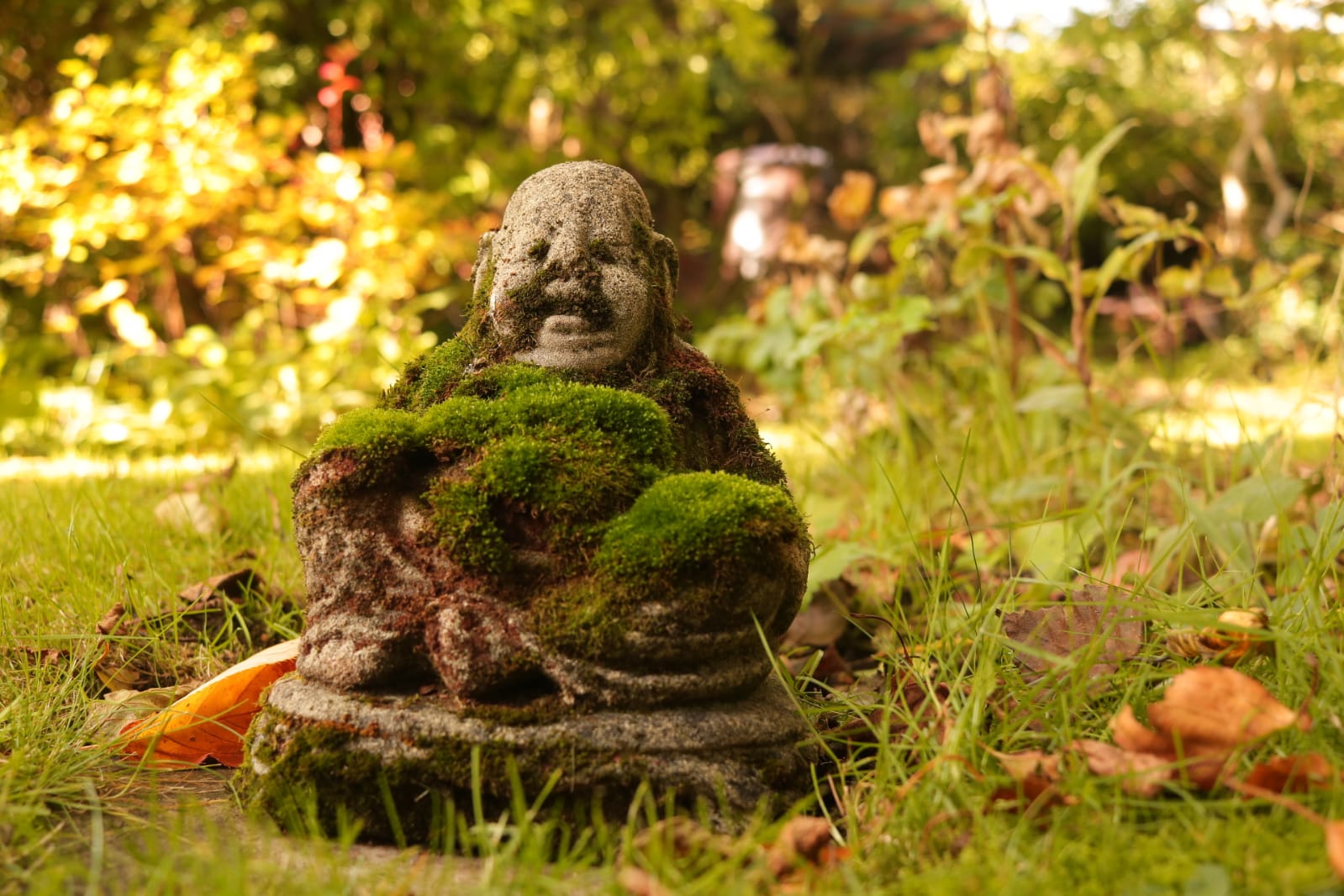 A tiny stone statue of buddha in an autumn park is covered in moss. 