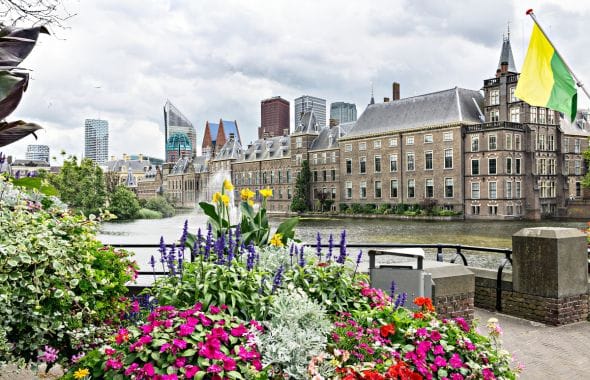 Image for article The Hague