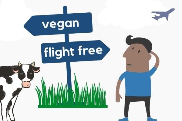 Image for article Is it better to go vegan or stop flying?